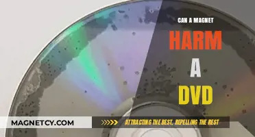 Magnets and DVDs: Potential Harm and Safe Practices Explained