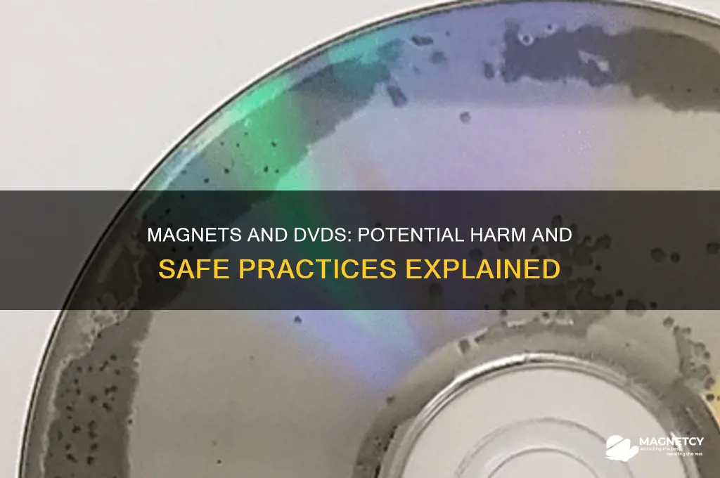 can a magnet harm a dvd
