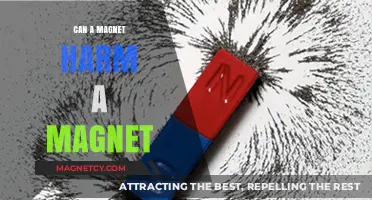 Can Magnets Harm Each Other? Exploring Magnetic Interactions and Safety