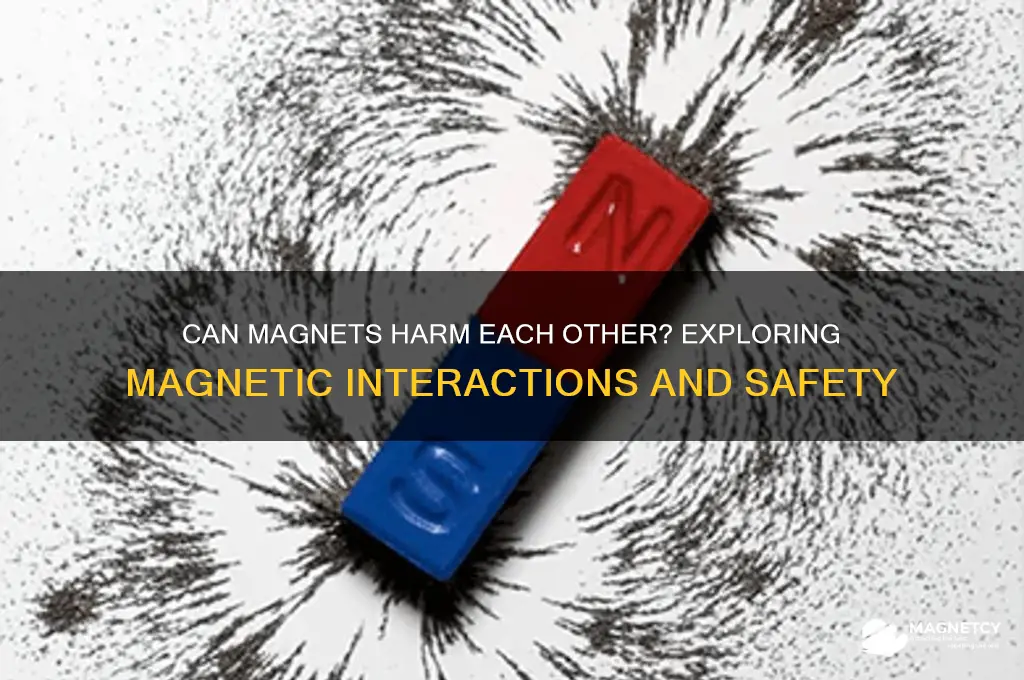 can a magnet harm a magnet