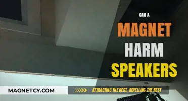 Can Magnets Damage Speakers? Understanding the Risks and Myths