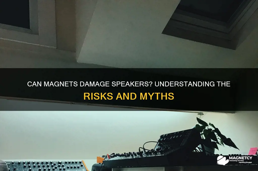 can a magnet harm speakers