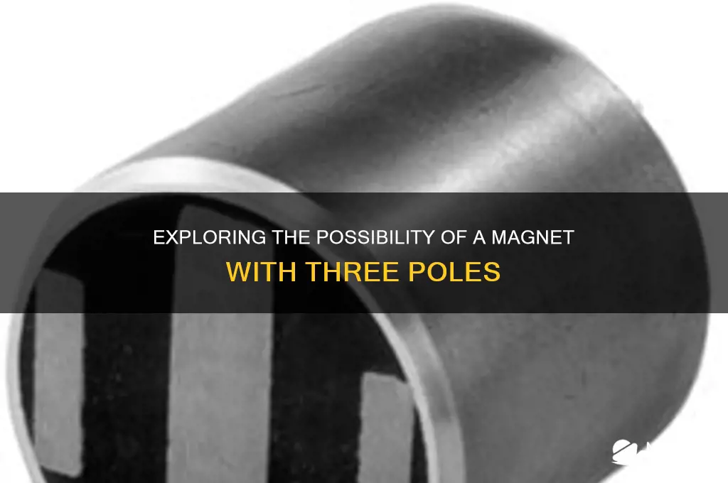 can a magnet have 3 poles