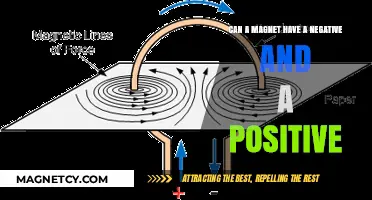 Magnetic Duality: Exploring Positive and Negative Poles in Magnets