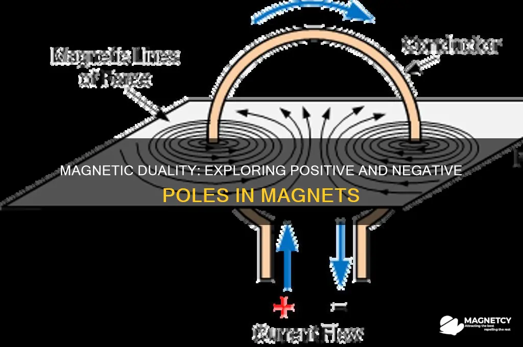 can a magnet have a negative and a positive