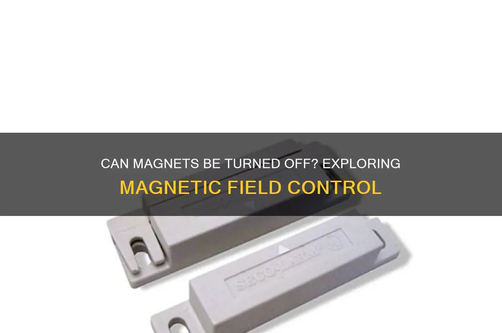 can a magnet have an off switch