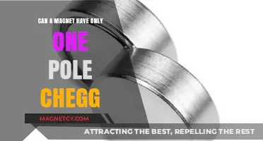 Exploring the Myth: Can a Magnet Exist with Only One Pole?