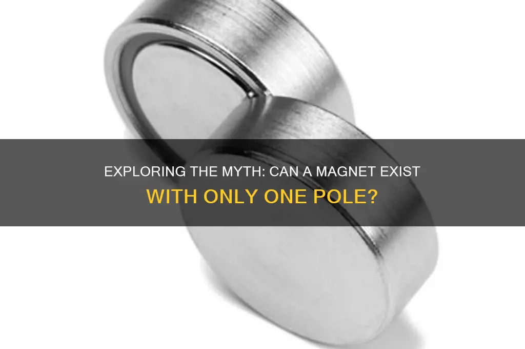 can a magnet have only one pole chegg