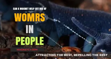 Magnetic Therapy: Can Magnets Eliminate Worms in Humans?