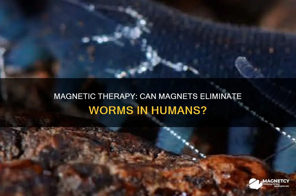 can a magnet help get rid of womrs in people