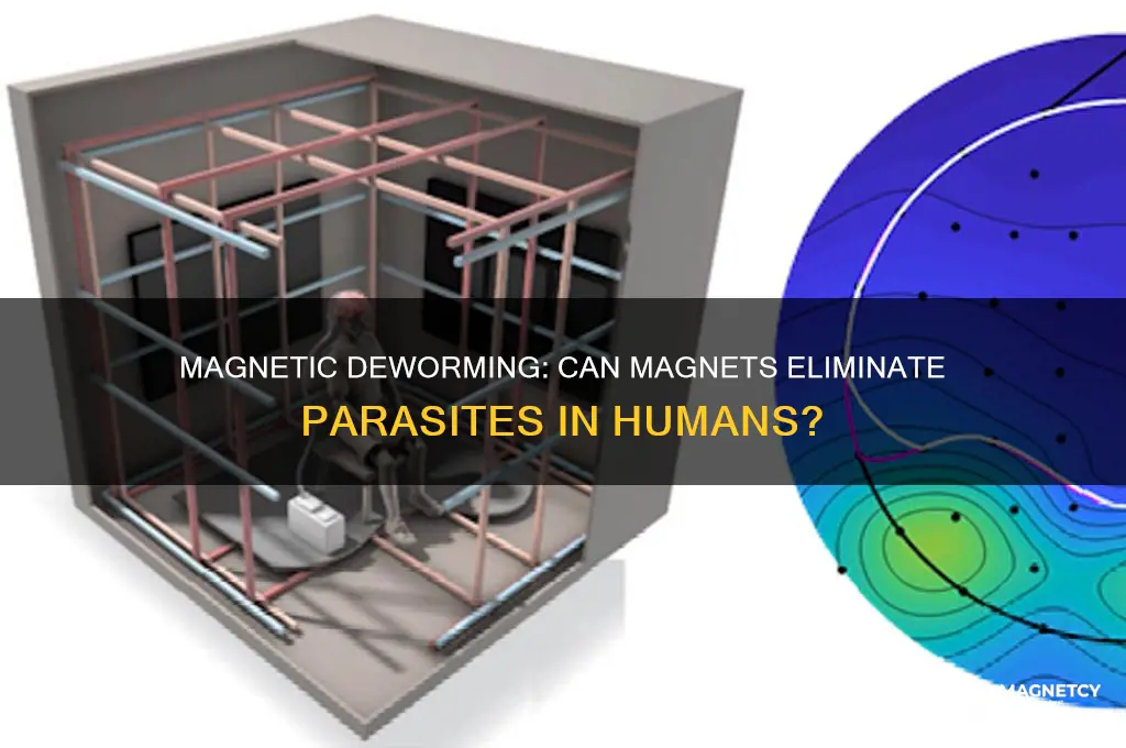 can a magnet help get rid of worms in people