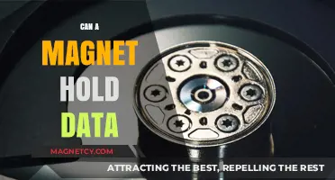 Magnetic Memory: Can Magnets Revolutionize Data Storage Solutions?