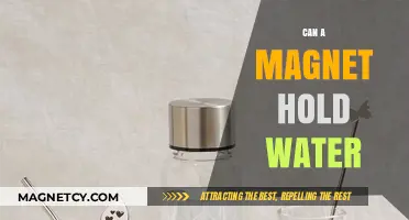 Can Magnets Hold Water? Exploring Magnetic Properties and Liquids