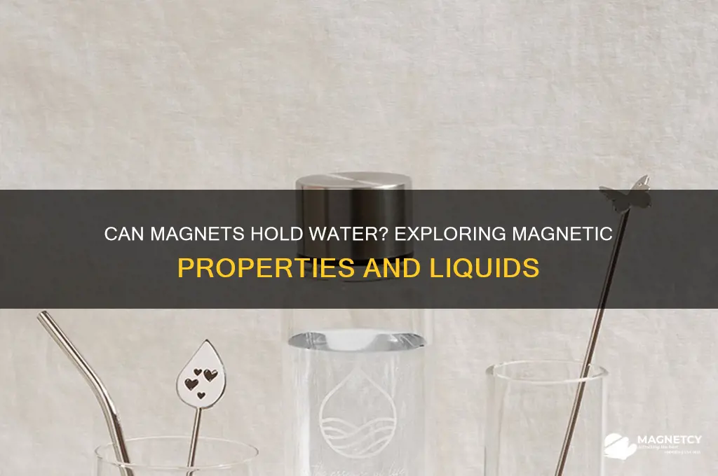 can a magnet hold water