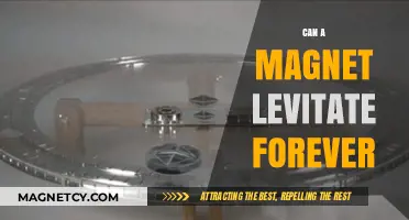 Can Magnets Defy Gravity? Exploring the Myth of Perpetual Levitation