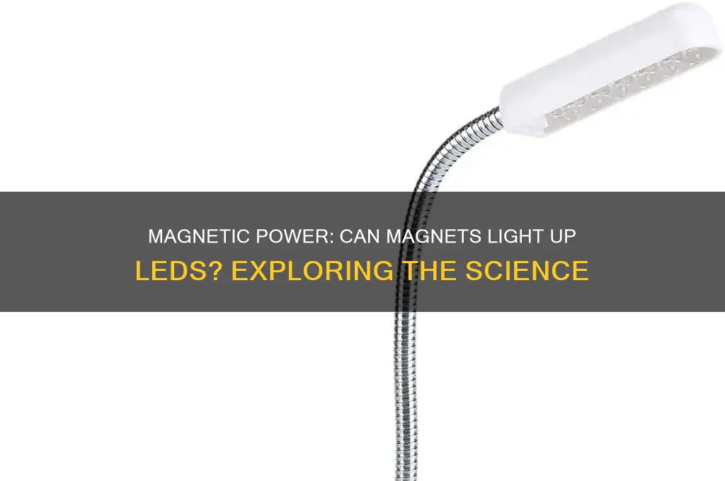 can a magnet light led
