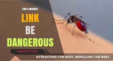 Magnet Links: Potential Risks and How to Stay Safe Online
