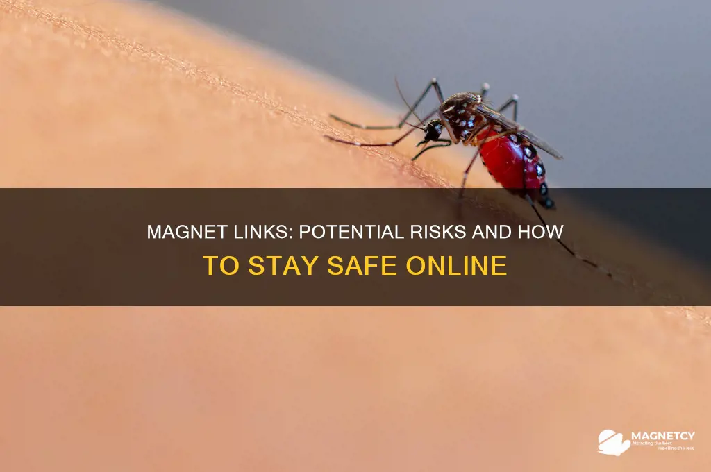 can a magnet link be dangerous