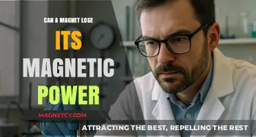 Can Magnets Lose Their Magnetic Power Over Time?