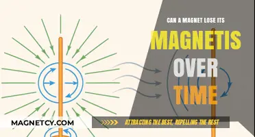 Does Magnetism Fade? Understanding Long-Term Magnetic Strength and Degradation