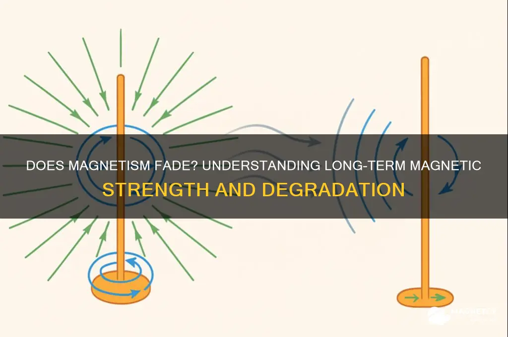 can a magnet lose its magnetism over time