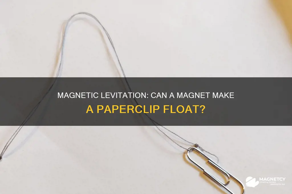can a magnet make a paperclip float