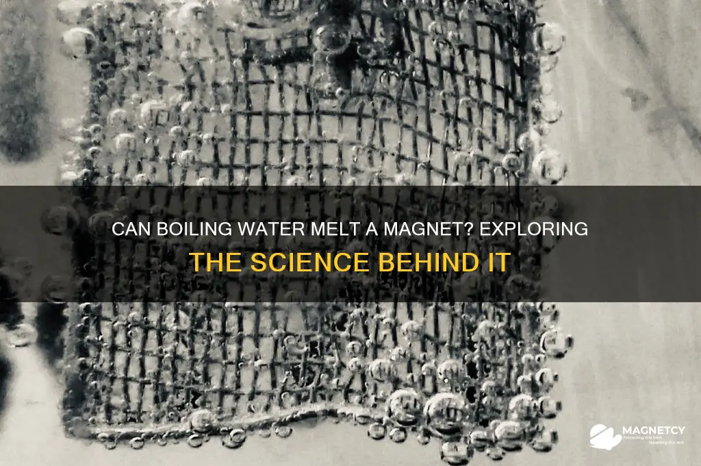 can a magnet melt by boiling it