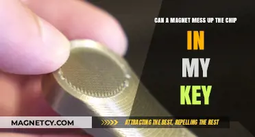 Magnets and Key Chips: Potential Risks and How to Avoid Damage