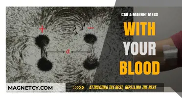 Magnets and Blood: Debunking Myths About Magnetic Fields' Effects