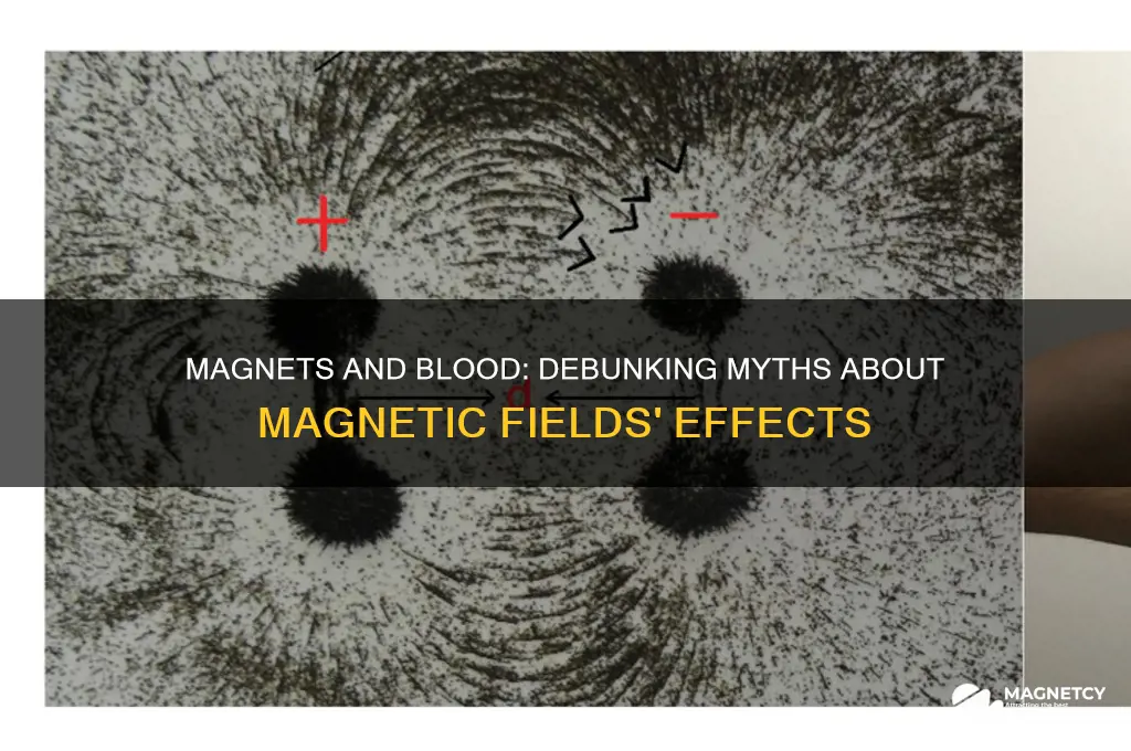 can a magnet mess with your blood