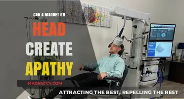 Magnet on Head: Unraveling the Apathy Myth or Reality?