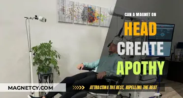 Magnet on Head: Myth or Cause of Apathy?