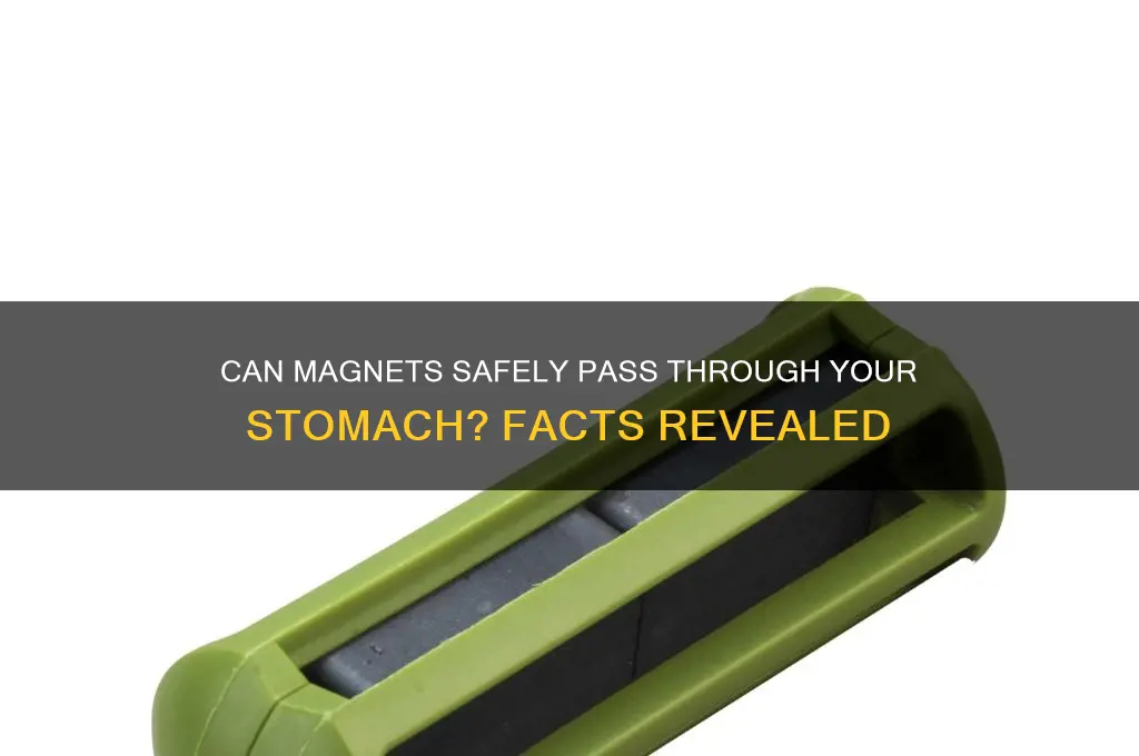 can a magnet pass through your stomach