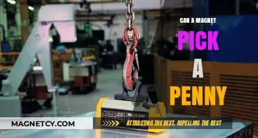 Can Magnets Lift Pennies? Unveiling the Science Behind Magnetic Attraction