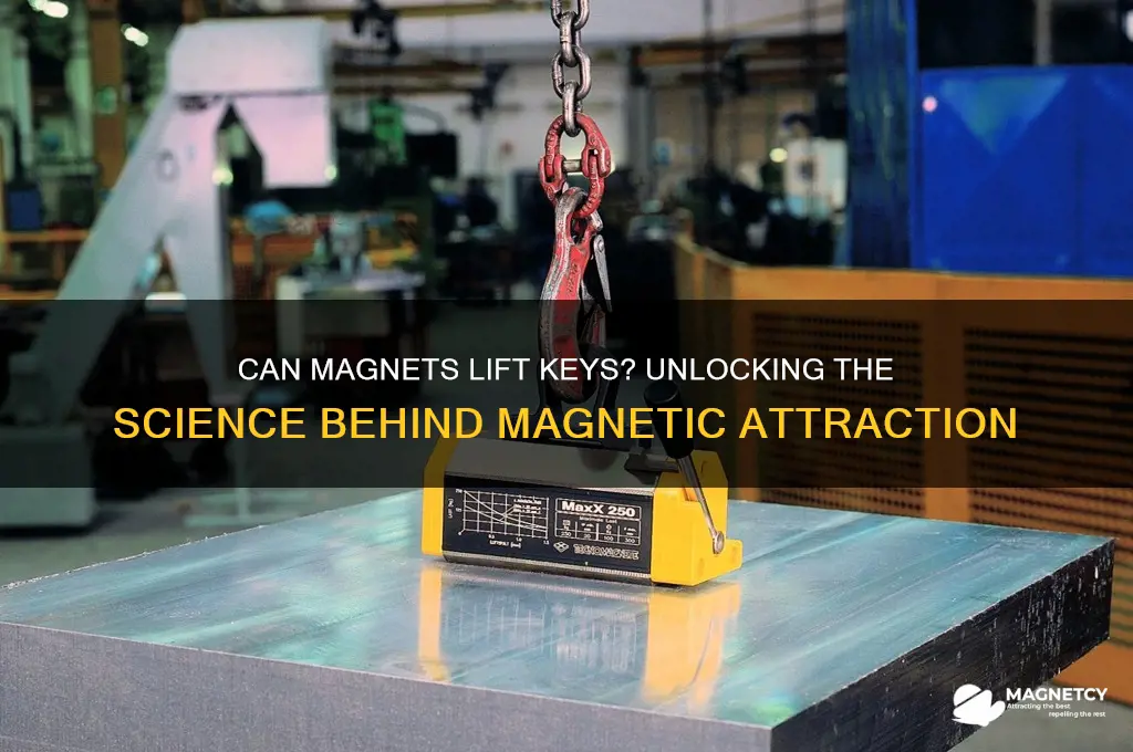 can a magnet pick up a key