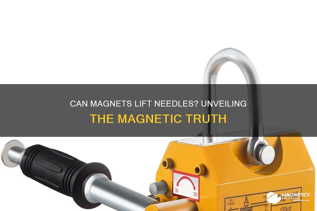 can a magnet pick up a needle