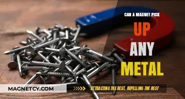 Magnets and Metals: Which Ones Stick and Why?