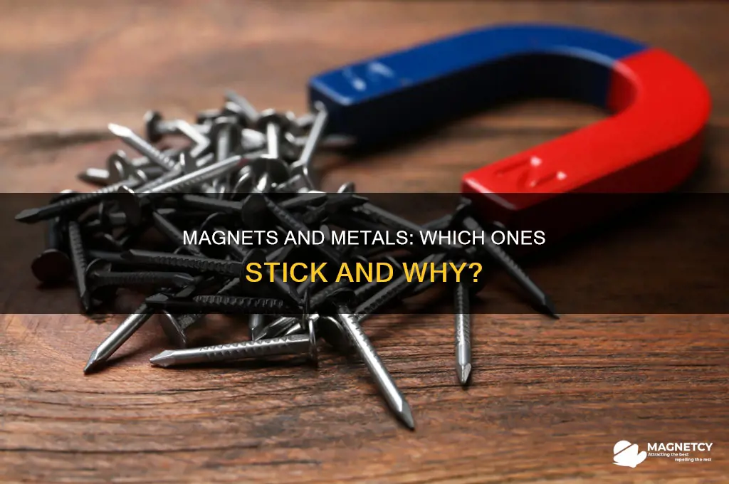 can a magnet pick up any metal