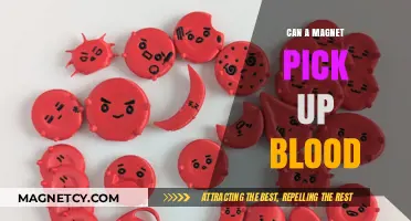 Can Magnets Attract Blood? Unraveling the Science Behind the Myth
