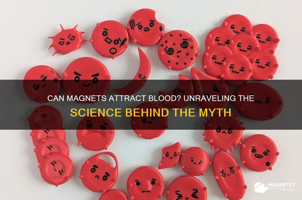 can a magnet pick up blood