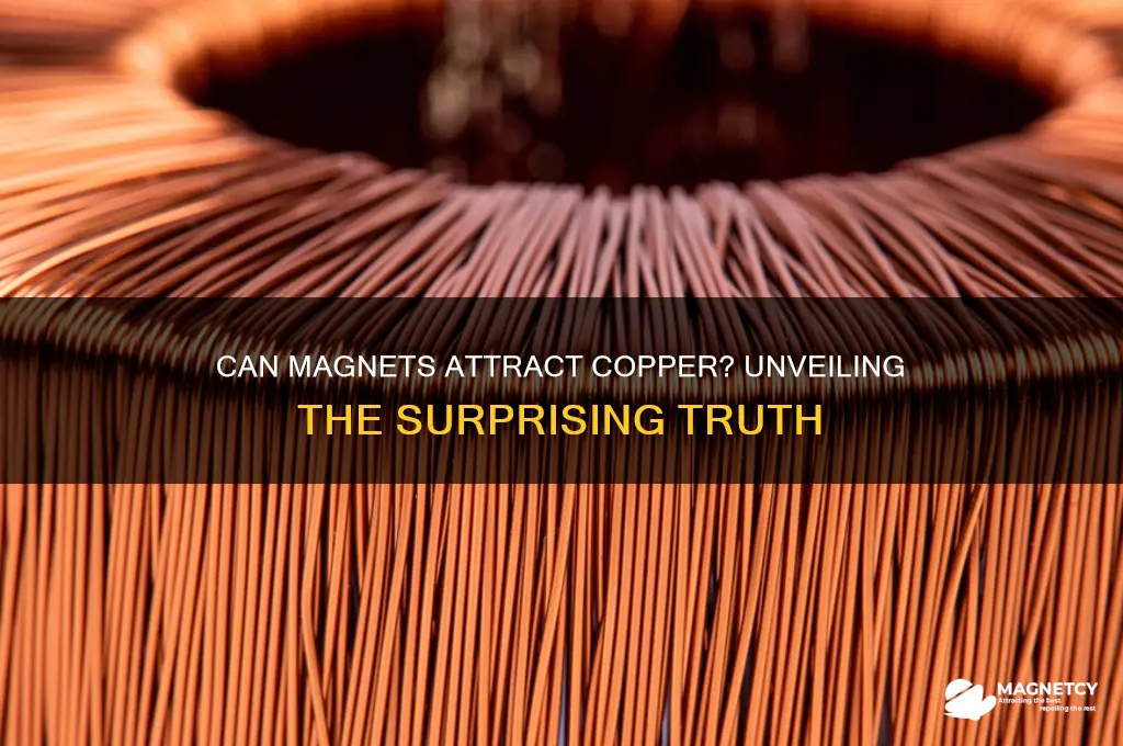 can a magnet pick up copper