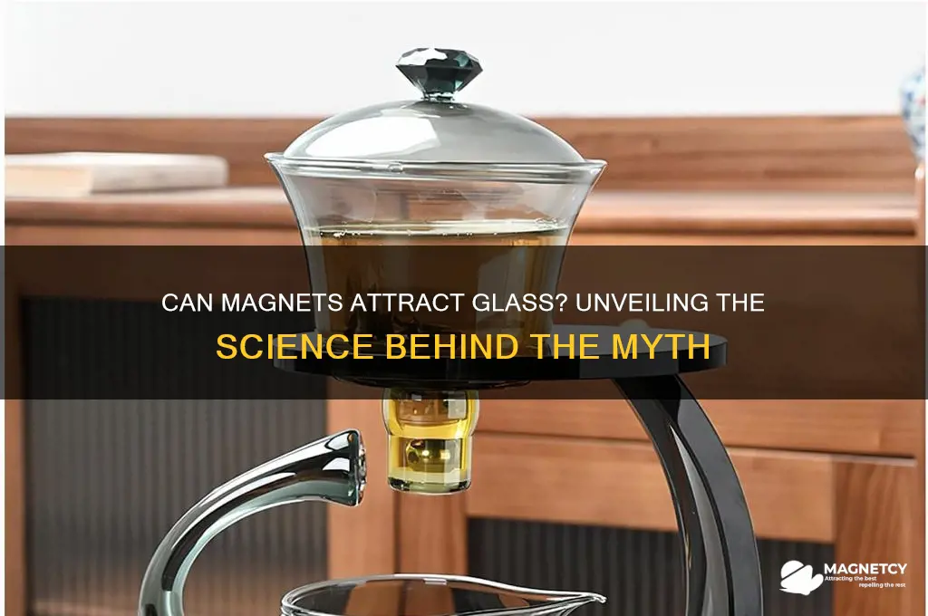 can a magnet pick up glass