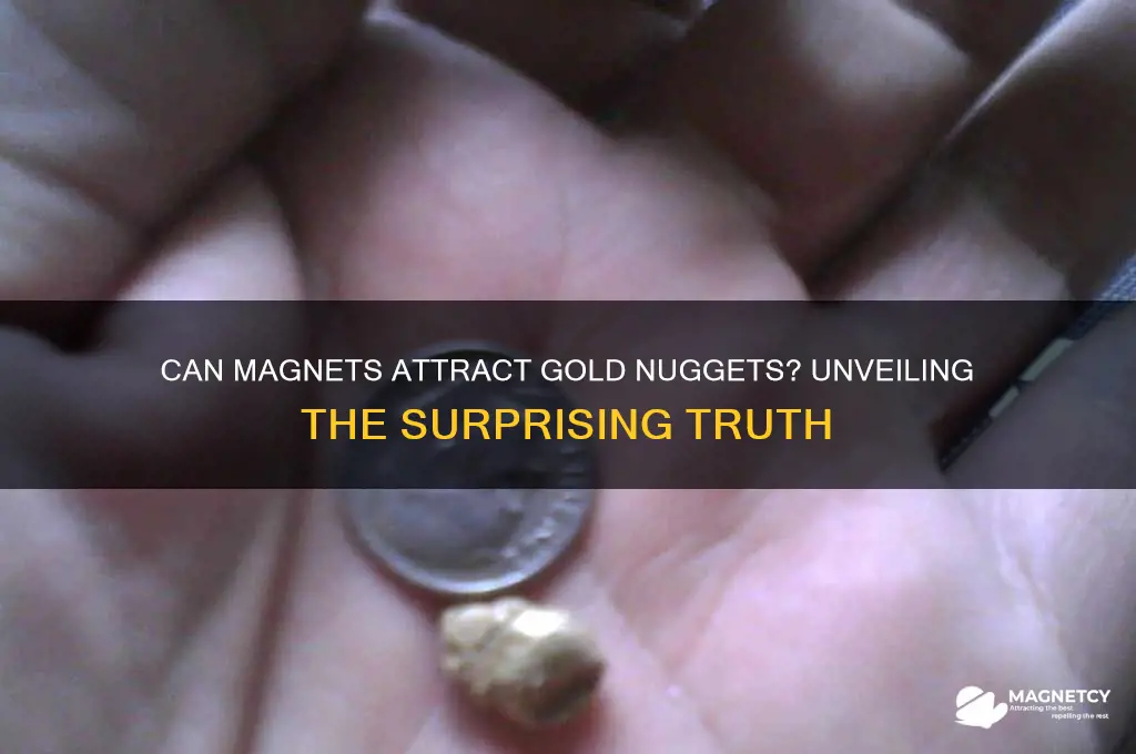 can a magnet pick up gold nuggets