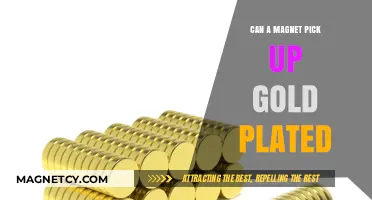 Can Magnets Attract Gold-Plated Items? Unveiling the Truth