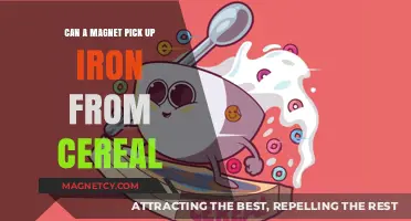 Can Magnets Extract Iron from Cereal? A Surprising Experiment