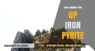 Can Magnets Attract Iron Pyrite? Unveiling the Truth Behind Fool's Gold