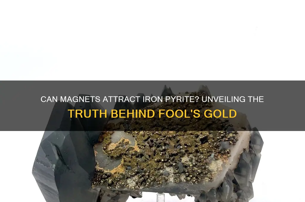 can a magnet pick up iron pyrite