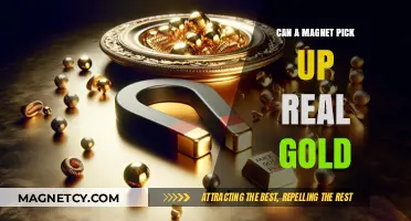 Can Magnets Attract Real Gold? Unveiling the Truth Behind the Myth