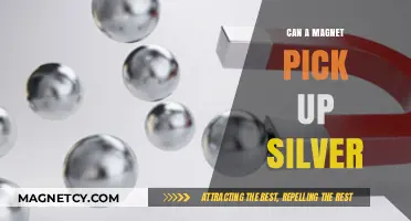 Can Magnets Attract Silver? Unveiling the Truth Behind the Myth