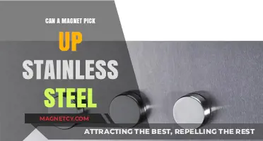 Can Magnets Attract Stainless Steel? Unraveling the Magnetic Mystery